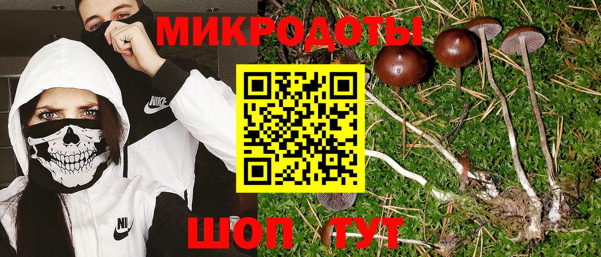Галлюциногенные грибы GOLDEN TEACHER  Галлюциногенные грибы Psilocybine cubensis  Городец  Вход с VPN 