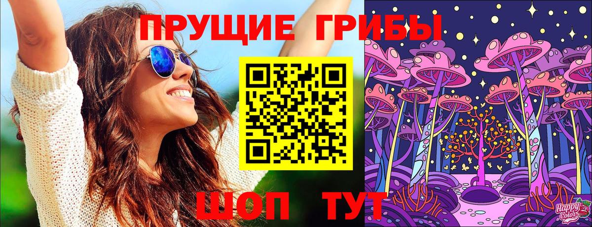 Галлюциногенные грибы Psilocybe Городец